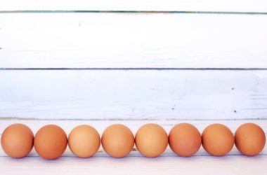 Proč byste měli jíst pravidelně vejce?