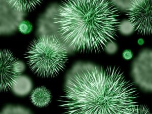Jak se ubránit nákaze koronaviru?