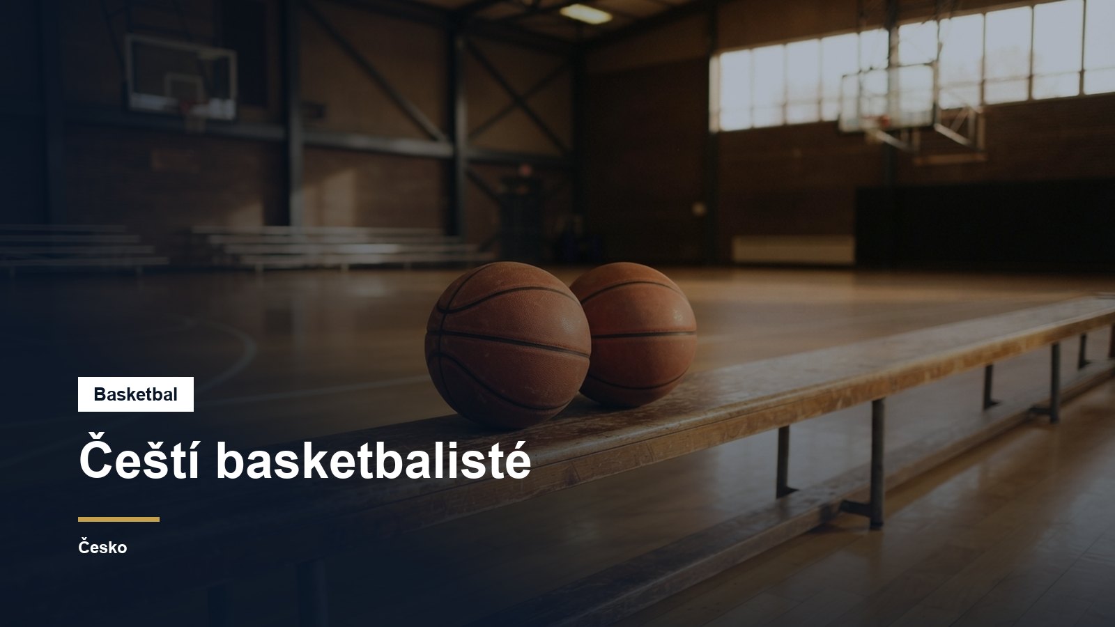 Basketbalové míče na lavičce u hřiště
