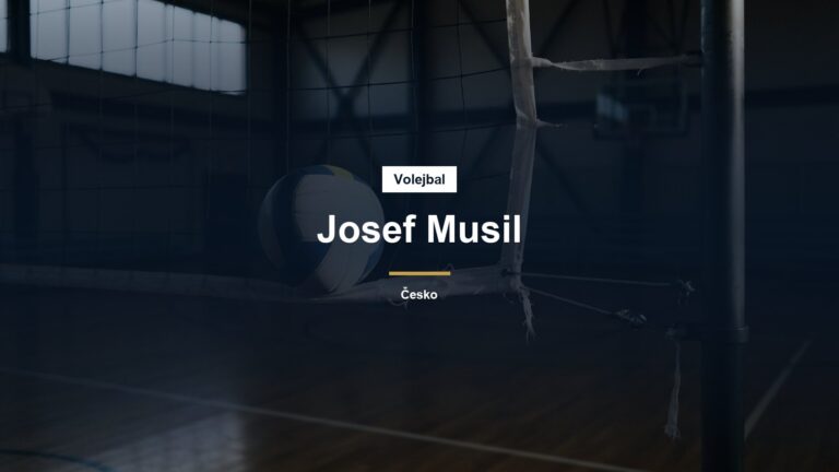 Volejbalový míč u sítě