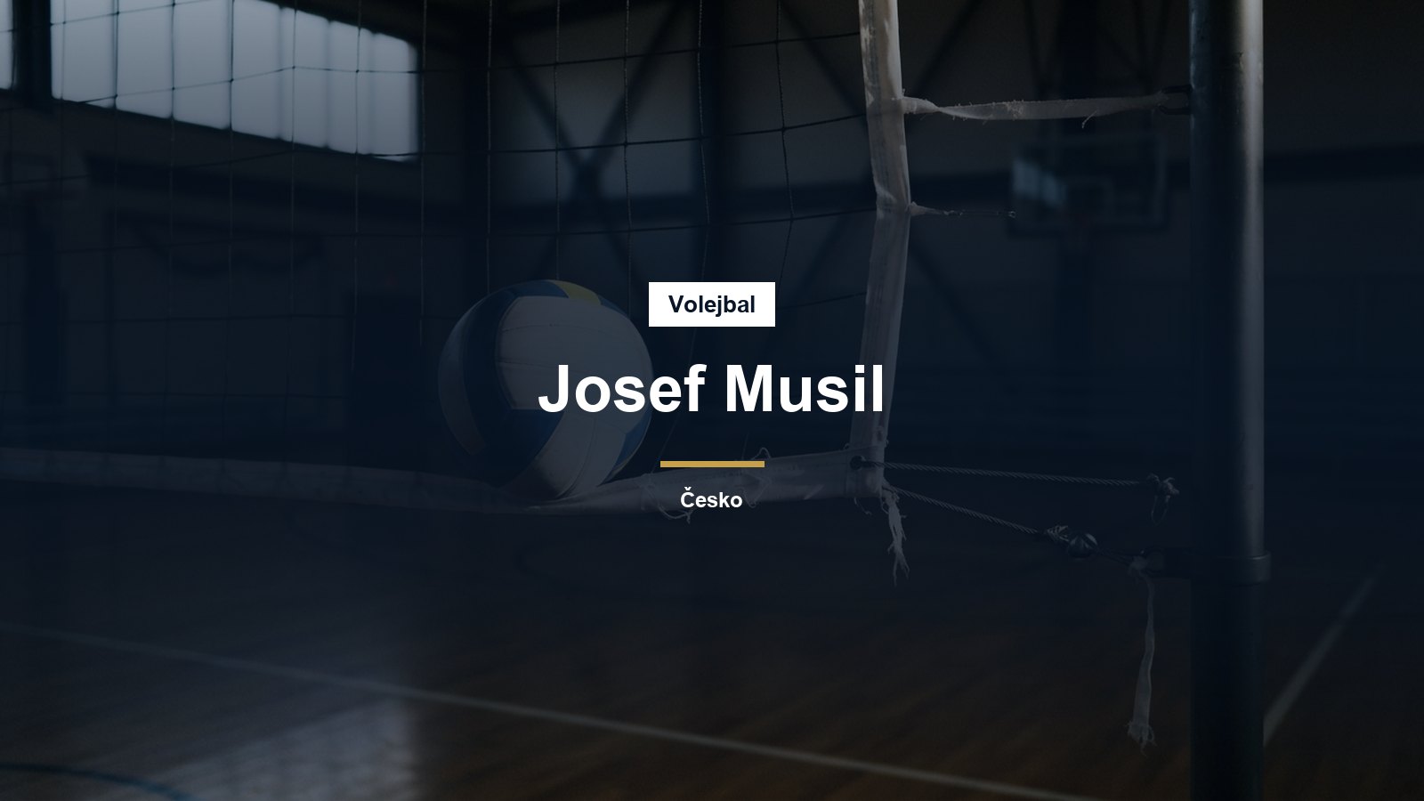 Volejbalový míč u sítě