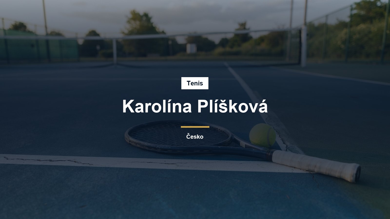 Tenisová raketa a míček na kurtu
