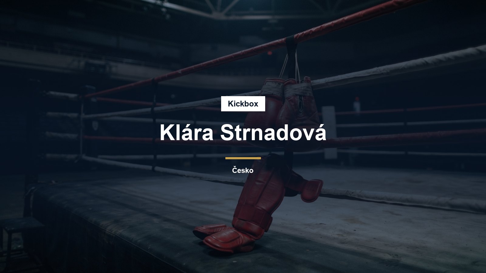 Rukavice a chrániče holení na provazech ringu