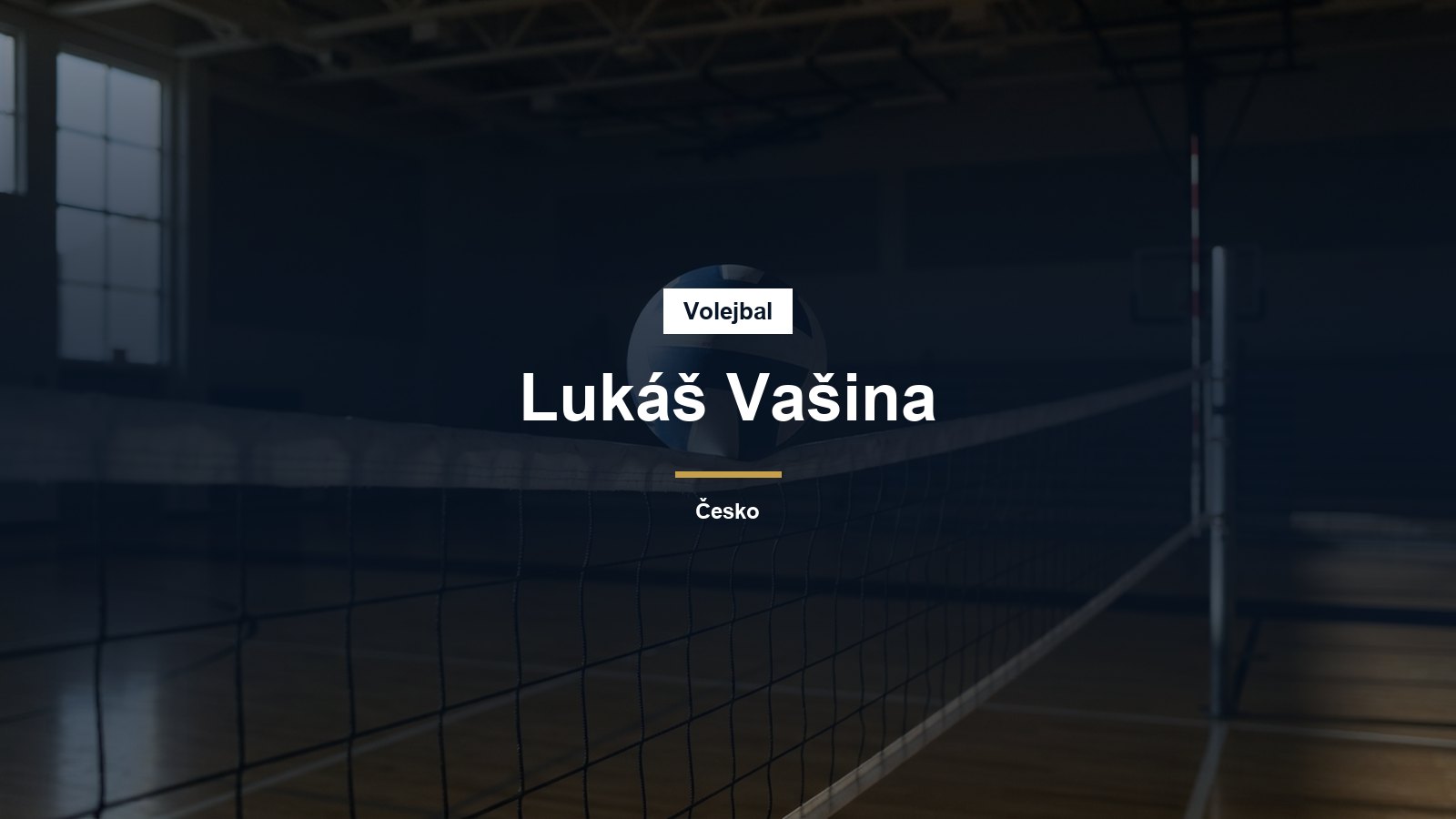 Volejbalový míč u sítě