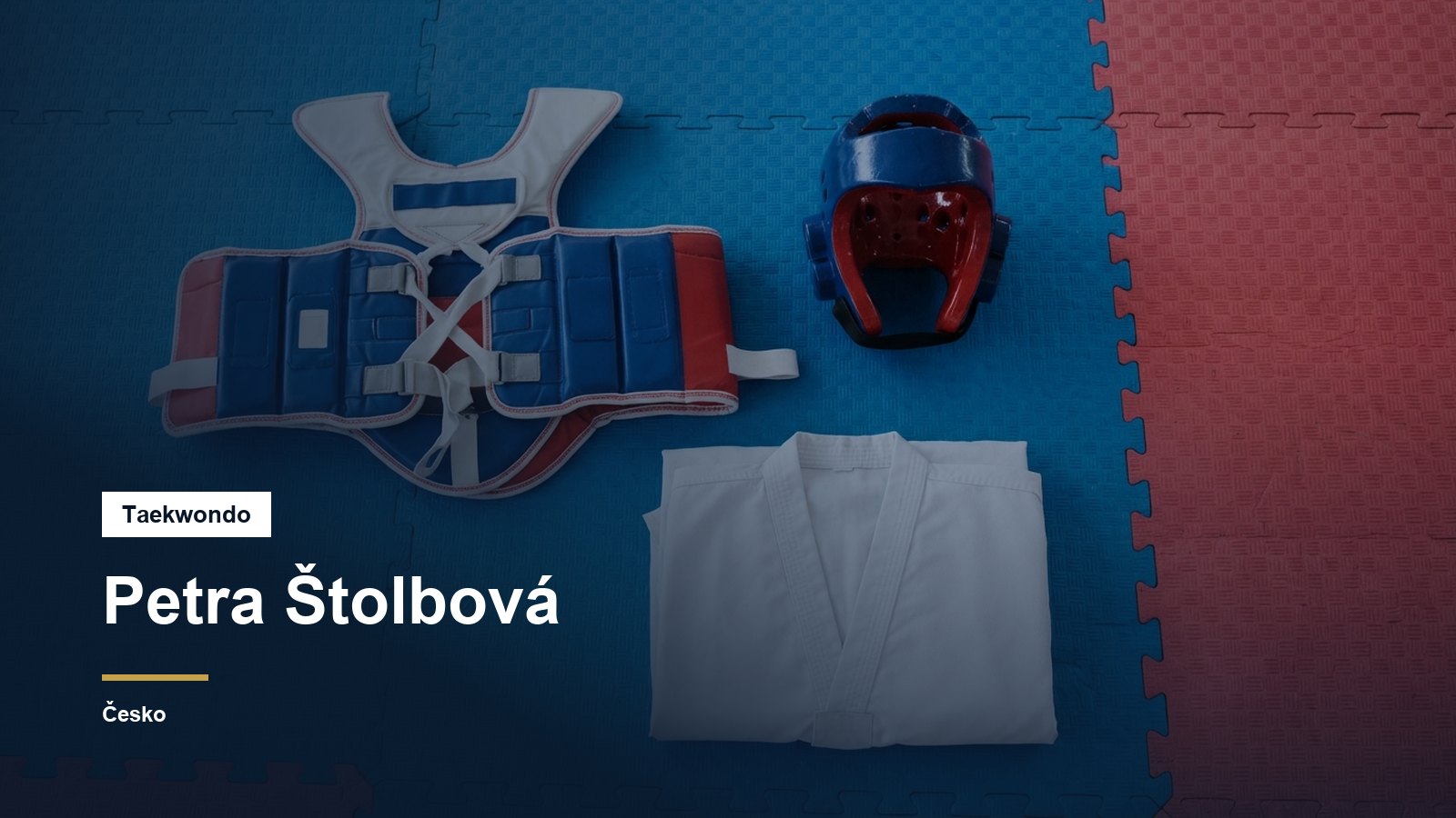Elektronický chránič trupu a hlavy na zápasové ploše