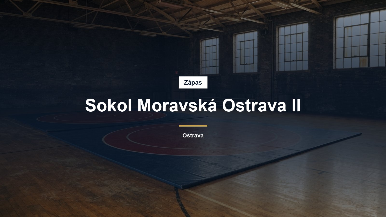 Dvě žíněnky ve starší sportovní hale
