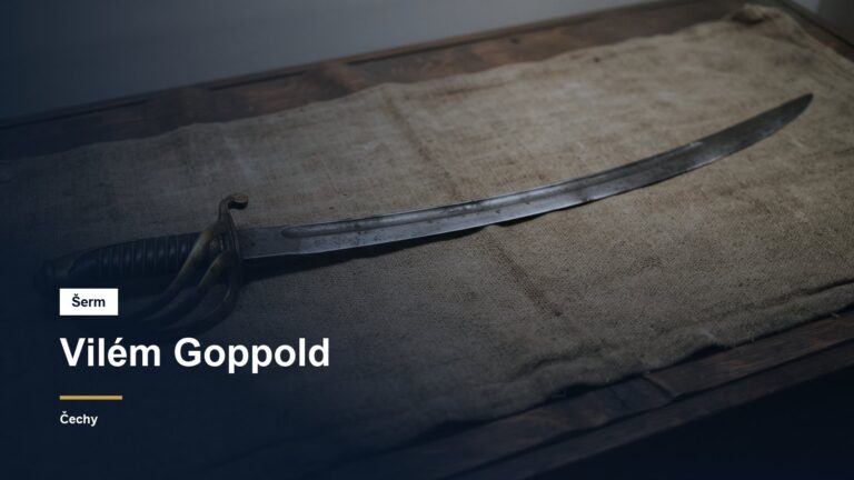 Historická šavle na zestárlém plátně