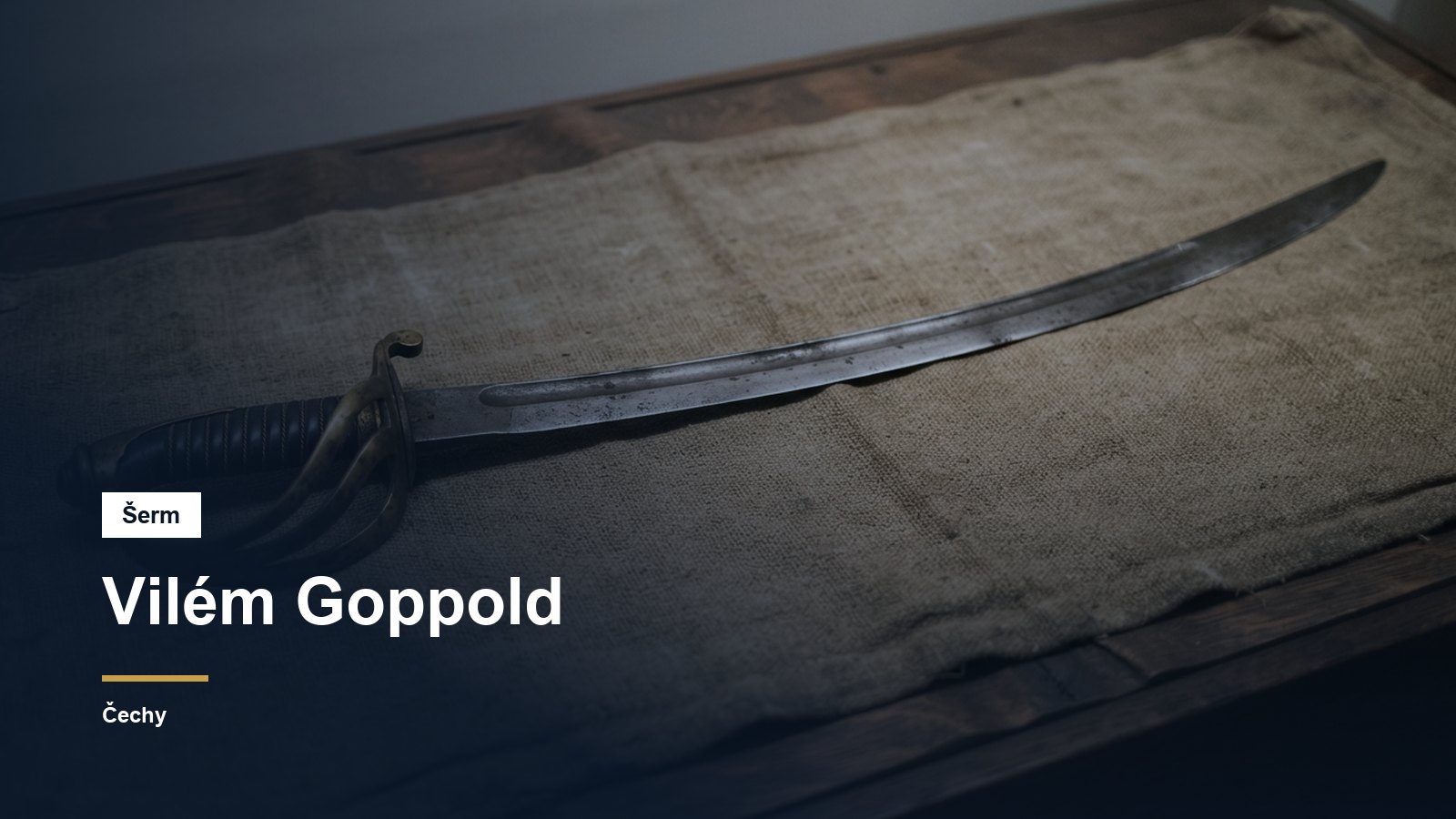 Historická šavle na zestárlém plátně