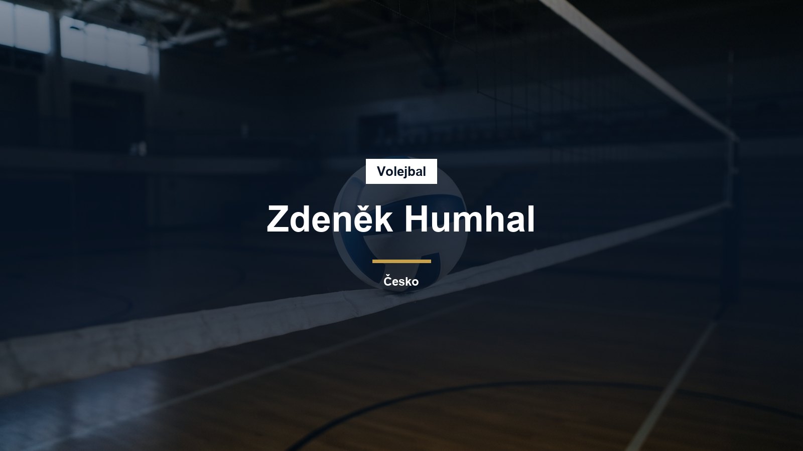 Volejbalový míč u sítě